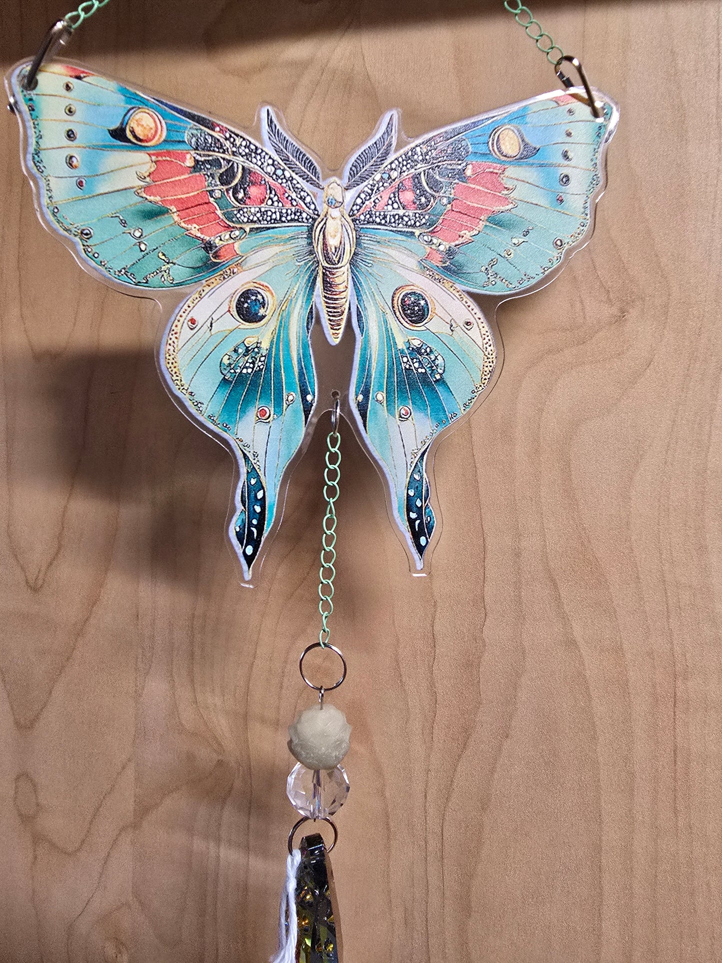 Luna Moth