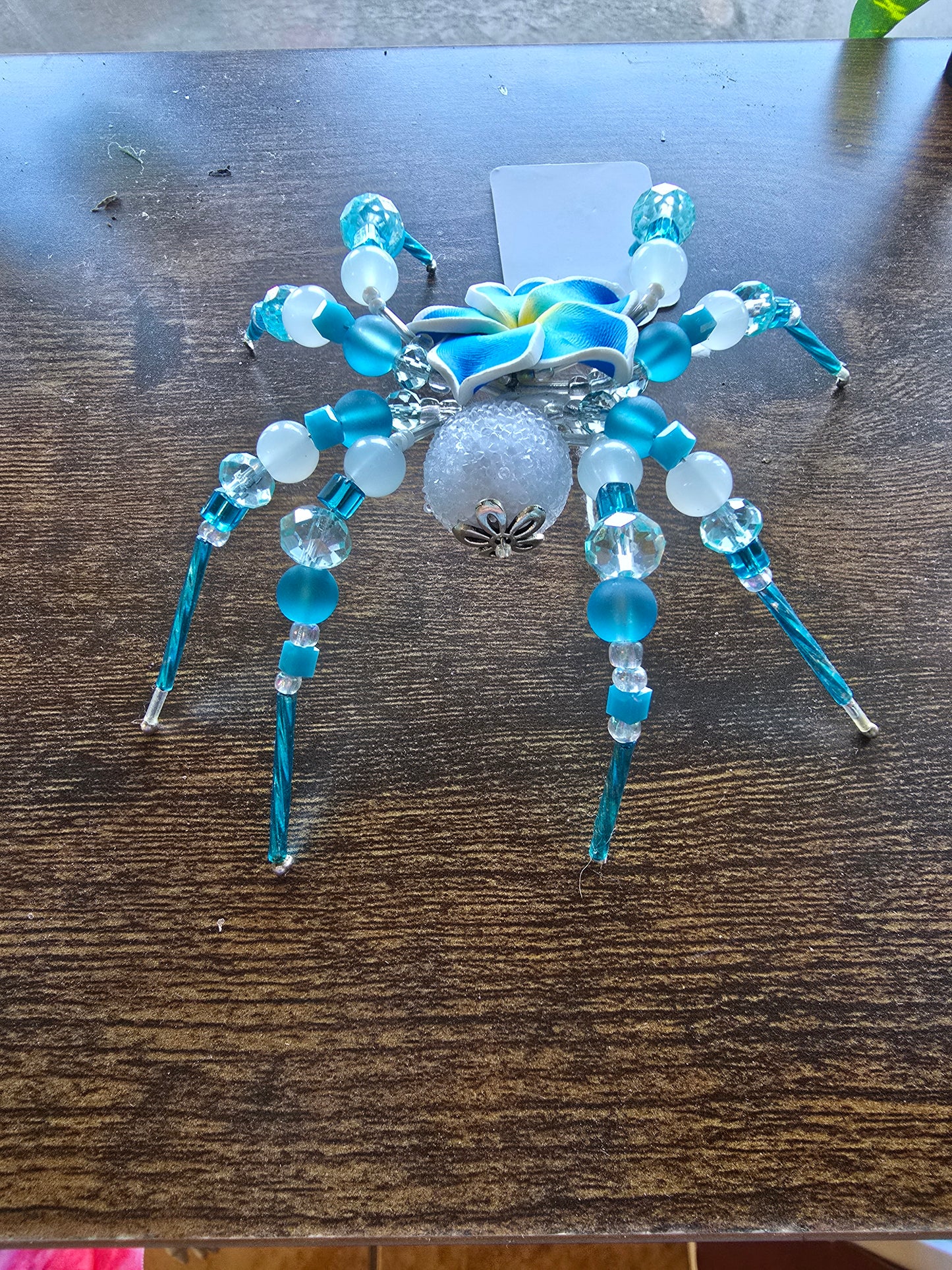 Hibiscus Spider