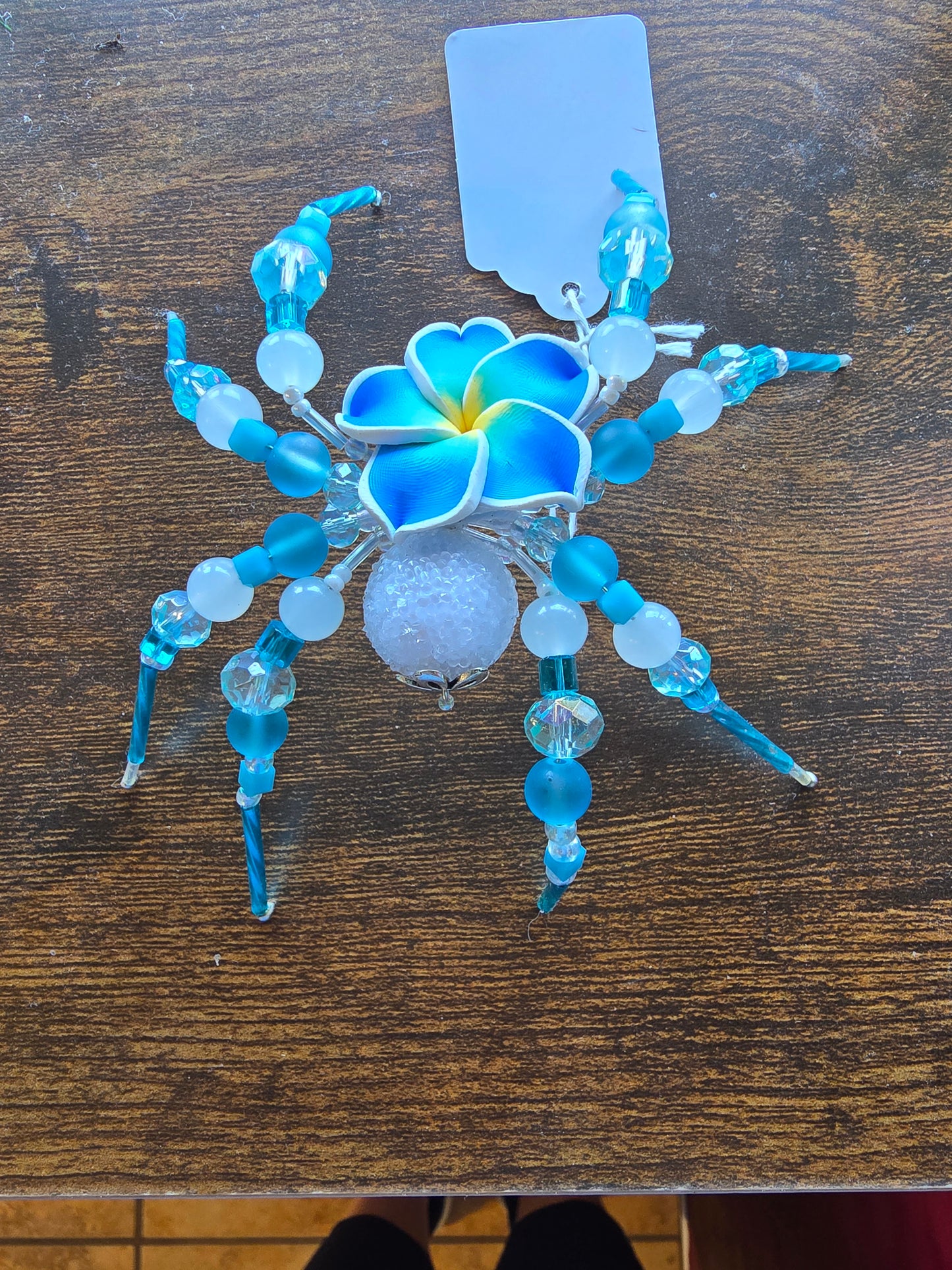 Hibiscus Spider