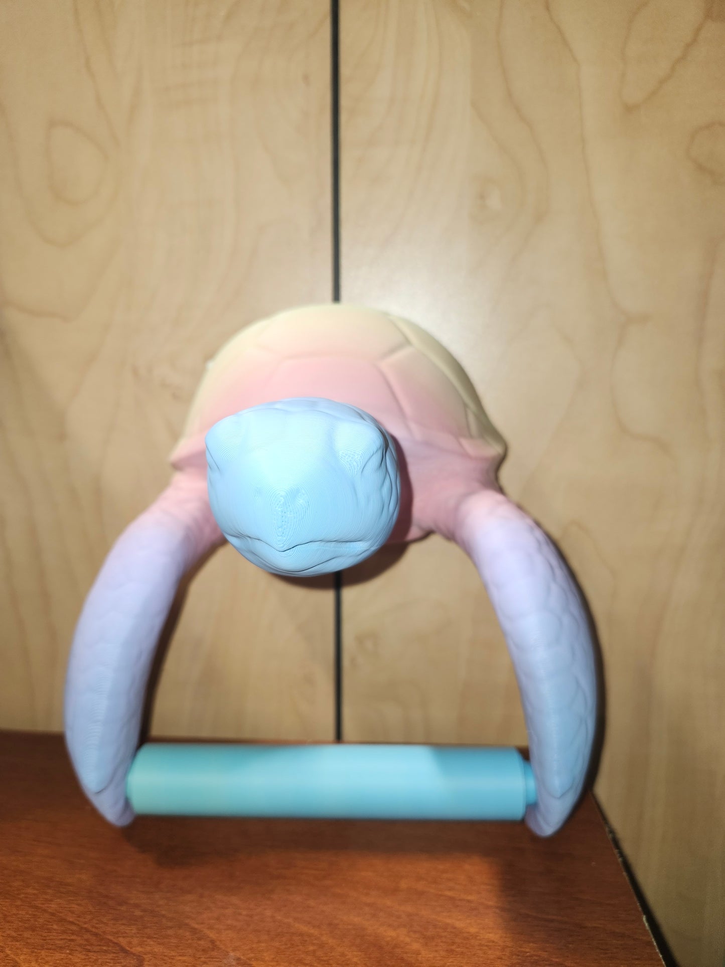 Sea Turtle Tp Holder 3D Printed
